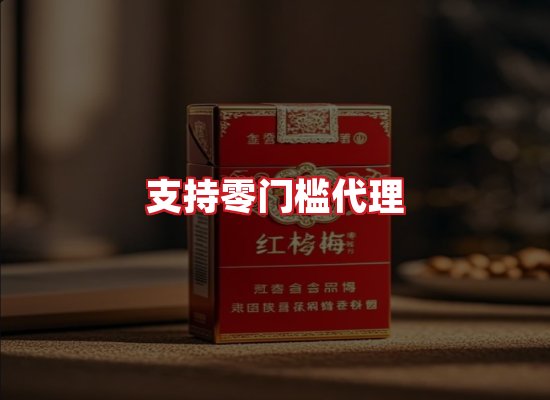 专业团队